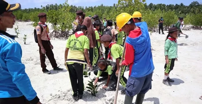 Tanam Mangrove di Wakatobi, PLN Baubau Libatkan Pegiat Lingkungan