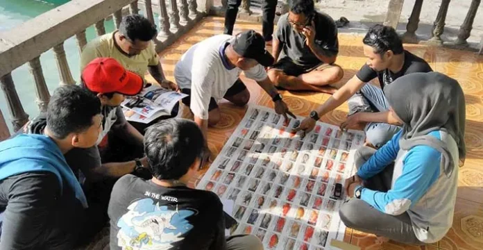 UMK Gandeng WWF Kaji Aktivitas Tangkap Nelayan di Wakatobi