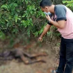 40 Hari Hilang, Tubuh Wanita Tua Ditemukan Sudah Tak Utuh 40 Hari Hilang, Tubuh Wanita Tua Ditemukan Sudah Tak Utuh