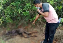 40 Hari Hilang, Tubuh Wanita Tua Ditemukan Sudah Tak Utuh 40 Hari Hilang, Tubuh Wanita Tua Ditemukan Sudah Tak Utuh