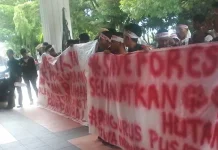 Dinas Kehutanan Didesak Hentikan Aktivitas PT DJL di Langkikima Dinas Kehutanan Didesak Hentikan Aktivitas PT DJL di Langkikima