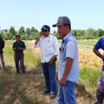 2019, Pemda Mubar Bangun Embung di Desa Kasimpa Jaya 2019, Pemda Mubar Bangun Embung di Desa Kasimpa Jaya