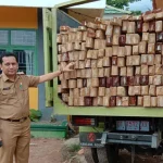 224 Batang Kayu Ilegal di Konsel Diamankan 224 Batang Kayu Ilegal di Konsel Diamankan