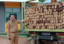 224 Batang Kayu Ilegal di Konsel Diamankan 224 Batang Kayu Ilegal di Konsel Diamankan