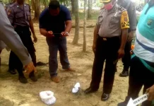 Potongan Payudara di Taman Kantor Gubernur Bukan Karena Mutilasi Potongan Payudara di Taman Kantor Gubernur Bukan Karena Mutilasi