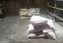 Pupuk Subsidi di Kolut Langka, Petani Terancam Gagal Panen Pupuk Subsidi di Kolut Langka, Petani Terancam Gagal Panen