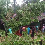 Angin Kencang, Rumah Warga di Konut Hancur Tertimpa Pohon Angin Kencang, Rumah Warga di Konut Hancur Tertimpa Pohon