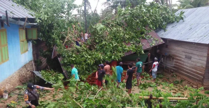 Angin Kencang, Rumah Warga di Konut Hancur Tertimpa Pohon