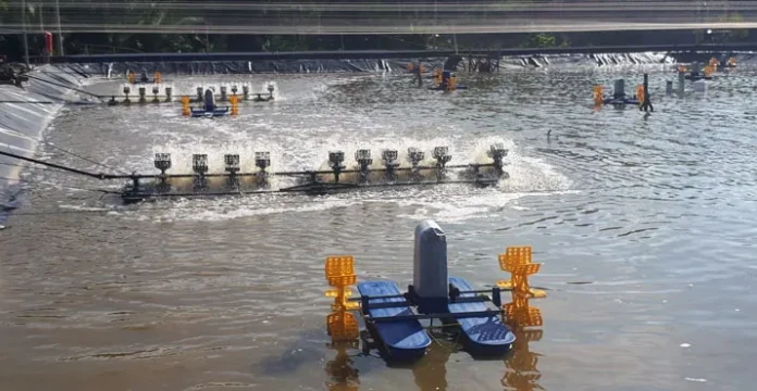 Tambak Udang Vaname Program DKP Konut Mulai Dioperasikan