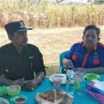 Tanaman Sela Hidupkan Ekonomi Masyarakat Kolut Tanaman Sela Hidupkan Ekonomi Masyarakat Kolut