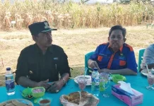 Tanaman Sela Hidupkan Ekonomi Masyarakat Kolut Tanaman Sela Hidupkan Ekonomi Masyarakat Kolut