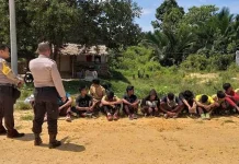 Tawuran Antar Pelajar Pecah di Wawonii, Diduga Dipicu Ketersinggungan Tawuran Antar Pelajar Pecah di Wawonii, Diduga Dipicu Ketersinggungan