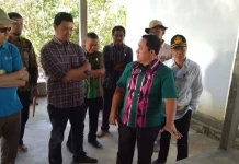 Kementan Sebut Sagu di Konsel Miliki Sari Pati Berkualitas Kementan Sebut Sagu di Konsel Miliki Sari Pati Berkualitas