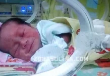 Begini Kondisi Terkini Bayi yang Dibuang di Pos Kehutanan Konsel Begini Kondisi Terkini Bayi yang Dibuang di Pos Kehutanan Konsel