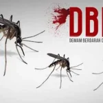 DBD Merebak, Belasan Warga Butur Dirawat di Rumah Sakit Ilustrasi DBD