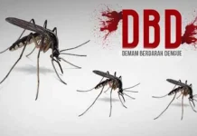 Ini Langkah Cegah Penyakit Demam Berdarah Ilustrasi DBD