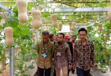 Honda Dirikan Laboratorium Kultur Jaringan di SMKN 1 Baula Kolaka Honda Dirikan Laboratorium Kultur Jaringan di SMKN 1 Baula Kolaka