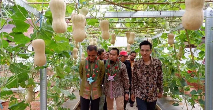 Honda Dirikan Laboratorium Kultur Jaringan di SMKN 1 Baula Kolaka