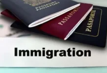 Tahun Ini Imigrasi Kendari Deportasi 20 Warga Negara Asing ilustrasi imigrasi, warga negara asing, tenaga kerja asing