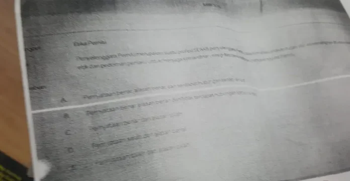 Peserta Seleksi KPU Kolaka Timur Bocorkan Jual Beli Kunci Jawaban CAT