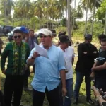 Pemda Konut dan PT PLN Bangun PLTU Pemda Konut dan PT PLN Bangun PLTU