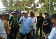 Pemda Konut dan PT PLN Bangun PLTU Pemda Konut dan PT PLN Bangun PLTU