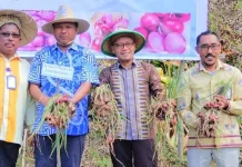 BI Sultra Panen Perdana Bawang Merah Organik di Kolut