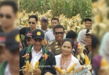 Begini Cerita Bupati Kolut Setahun Berjuang Datangkan Mentan Begini Cerita Bupati Kolut Setahun Berjuang Datangkan Mentan