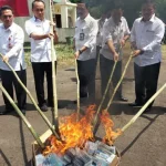 Kemendagri Musnahkan 1,3 juta e-KTP Rusak dan Invalid Kemendagri Musnahkan 1,3 juta e-KTP Rusak dan Invalid