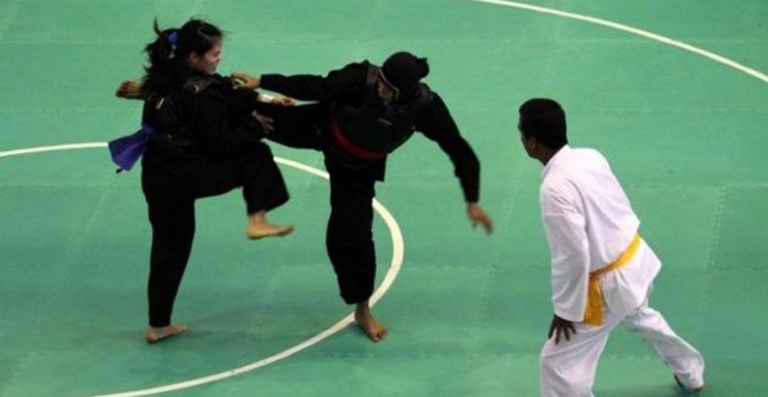 Ilustrasi Pencak Silat