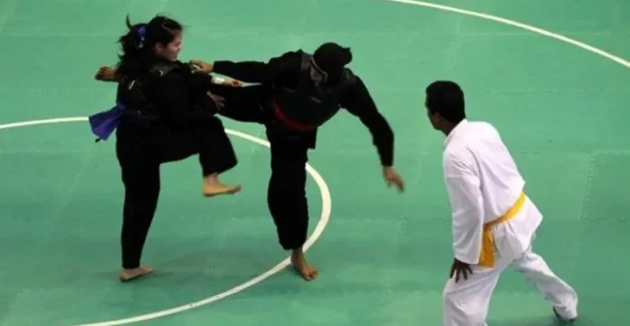 Ilustrasi Pencak Silat