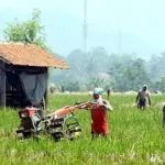 Distanak Sultra Gagas Penyuluhan Dengan Menyasar Generasi Muda ilustrasi petani