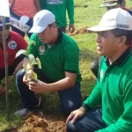 Jelang HUT, Pemda Konut Menanam Sejuta Bibit Pohon Jelang HUT, Pemda Konut Menanam Sejuta Bibit Pohon