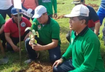 Jelang HUT, Pemda Konut Menanam Sejuta Bibit Pohon Jelang HUT, Pemda Konut Menanam Sejuta Bibit Pohon