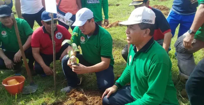 Jelang HUT, Pemda Konut Menanam Sejuta Bibit Pohon