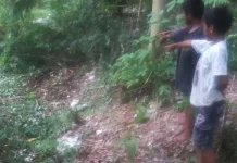 Lagi Pungut Mangga, Anak-Anak di Abeli Temukan Mayat Membusuk Lagi Pungut Mangga, Anak-Anak di Abeli Temukan Mayat Membusuk