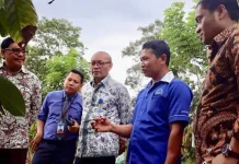 Kawasan Technopark Kakao Koltim Diresmikan Kawasan Technopark Kakao Koltim Diresmikan