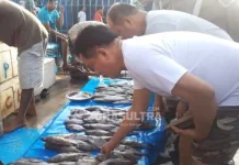 Yusril Borong Berbagai Macam Ikan di Pasar Pelelangan Kendari Yusril Borong Berbagai Macam Ikan di Pasar Pelelangan Kendari