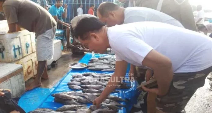 Yusril Borong Berbagai Macam Ikan di Pasar Pelelangan Kendari