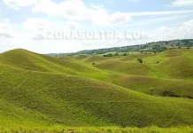 Bukit Teletubies Tinabite, Sabana Indah di Bombana Bukit Teletubies Tinabite