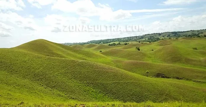 Bukit Teletubies Tinabite