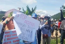 80 Ribu Rumpun Sagu Koltim Dibabat, Warga Demo Perusahaan Sawit 80 Ribu Rumpun Sagu Koltim Dibabat, Warga Demo Perusahaan Sawit