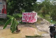Jalan KH Muhammad Dahlan Rusak Parah, Warga Tanam Pohon Pisang Jalan KH Muhammad Dahlan Rusak Parah, Warga Tanam Pohon Pisang