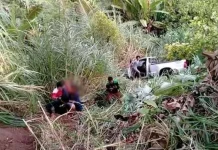 Melaju di Tikungan, Mobil Hilux Terjun ke Jurang Kolut Melaju di Tikungan, Mobil Hilux Terjun ke Jurang Kolut