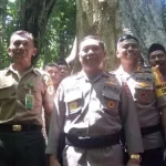 Mengenal Jati Berusia 3,5 Abad, Pusaka di Tanah Muna (Bagian I) Mengenal Jati Berusia 3,5 Abad, Pusaka di Tanah Muna (Bagian I)