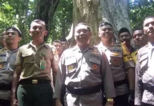 Mengenal Jati Berusia 3,5 Abad, Pusaka di Tanah Muna (Bagian I) Mengenal Jati Berusia 3,5 Abad, Pusaka di Tanah Muna (Bagian I)