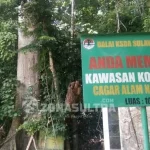 Mengenal Jati Berusia 3,5 Abad, Pusaka di Tanah Muna (Bagian II) Mengenal Jati Berusia 3,5 Abad, Pusaka di Tanah Muna (Bagian I)