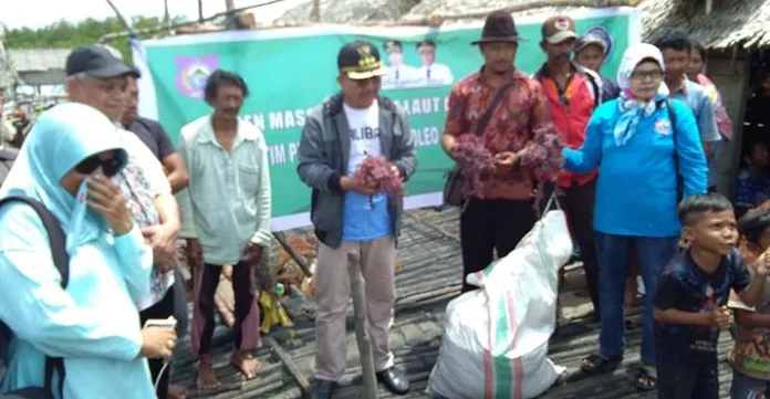 panen_butur Hadiri Panen Massal, Bupati Butur Suport Petani Rumput Laut