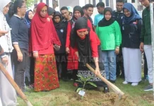 Poltekkes Kendari Mulai Gerakan Tanam Satu Juta Pohon Poltekkes Kendari Mulai Gerakan Tanam Satu Juta Pohon