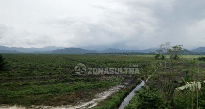 Segera Berakhir, Polemik Rawa Tinondo Tinggal Menunggu Regulasi Pemda Koltim